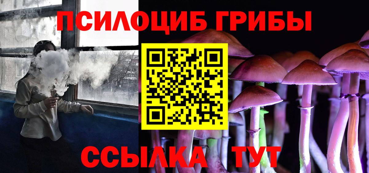 Псилоцибиновые грибы Cubensis Ступино